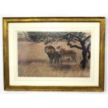 Bob Kuhn, signed in pencil to margin, limited edition (156/500), coloured print, lions in a