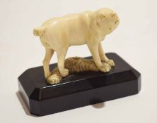 Early 20th century ivory model of a dog possibly Dieppe, on wooden base, 9cm long