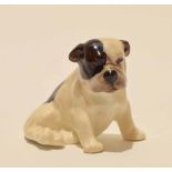 Royal Doulton model of a bulldog, K2, decorated in typical fashion