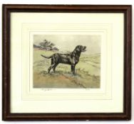 Henry Wilkinson, signed in pencil to margin, limited edition (162/250) coloured etching, Labrador in