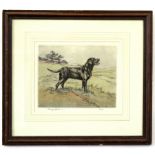 Henry Wilkinson, signed in pencil to margin, limited edition (162/250) coloured etching, Labrador in