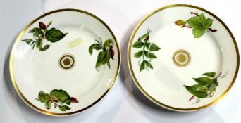 Two Swansea porcelain botanical plates with leaf decoration