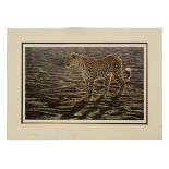 Alan M Hunt, signed in pencil to margin, limited edition (22/250) coloured print, Cheetah in