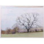 AR Donald Shannon (20th century) Winter and summer landscapes pair of watercolours, both signed