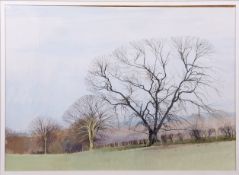 AR Donald Shannon (20th century) Winter and summer landscapes pair of watercolours, both signed
