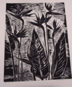AR Dame Elizabeth Blackadder, RA, RSA (born 1931) "Strelitzia 1989" woodcut, signed and numbered