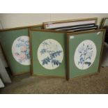 THREE FRAMED BOTANICAL PRINTS