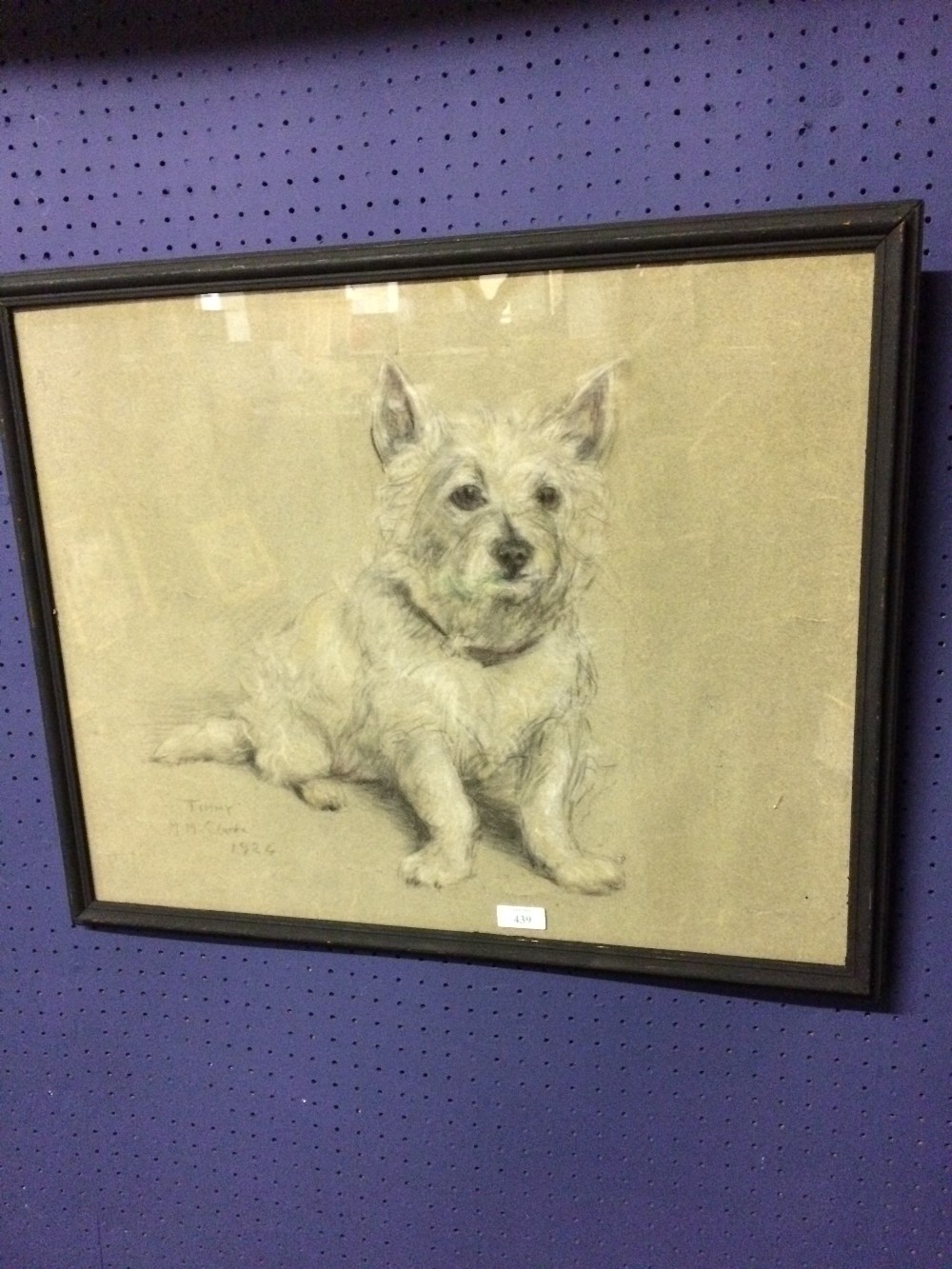 Study of a Terrier dog 46 x 58cm, marked lower left "Timmy M M Clarke 1924"46 x 58cm