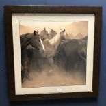 Large studio art print of galloping horses 55.5 x 55.5 cm