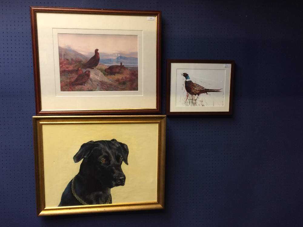 Three framed pictures, one of a labrador, and 2 with pheasants