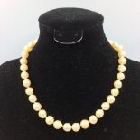 Fine row of freshwater pearls with gold clasp