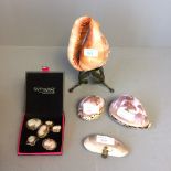 6 Cameo brooches 3 carved shells & Mussel shell purse