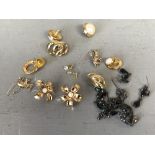 Collection of yellow metal costume earrings