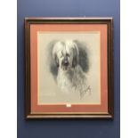 Modern pastel 'Shaggy Dog' indistinctly signed lower right 54 x 46 cm framed & glazed