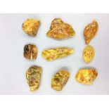 9 Large pieces of Baltic amber largest 26.5g smallest 10.4 g total weight 158.96g
