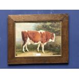 Oak framed bovine oil painting 'Study of A Cow in a Country landscape' 26.5 x 30 cm