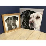 2 Picture studies of 'Labrador Dogs' various sizes framed & glazed