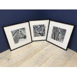 Wildlife interest B Studio print studies of Zebras