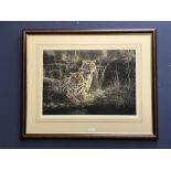 Steve Burgess wildlife interest, a signed limited edition 126/495 print study of Tigers 42 x 57.5 cm