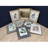 2 Priscilla Henley framed & glazed numbered signed prints of owls, R McPhail print signed,