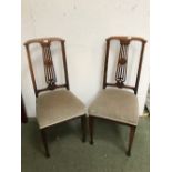 2 Sandwood velvet covered chairs