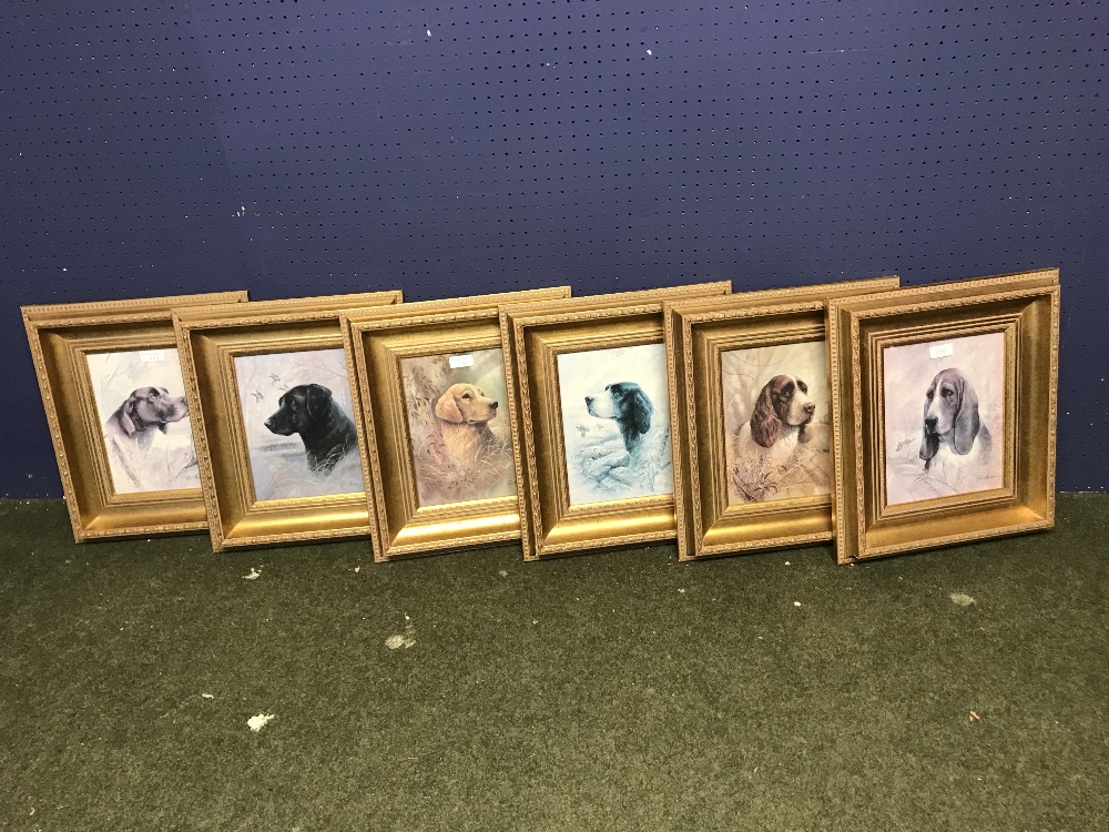 6 Prints of dogs heads, framed & glazed in gilt frames 24 x 18.5 cm