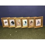 6 Prints of dogs heads, framed & glazed in gilt frames 24 x 18.5 cm
