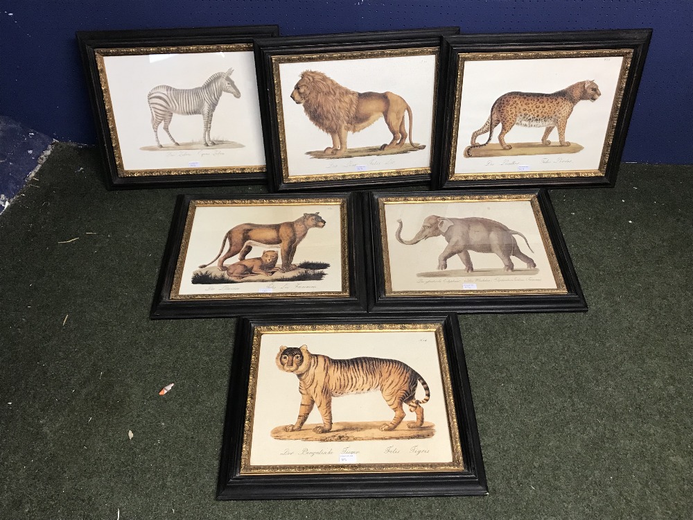 Set of 6 modern colour prints after The Antique, 'wild animals' framed & glazed 33 x 43 cm