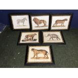 Set of 6 modern colour prints after The Antique, 'wild animals' framed & glazed 33 x 43 cm