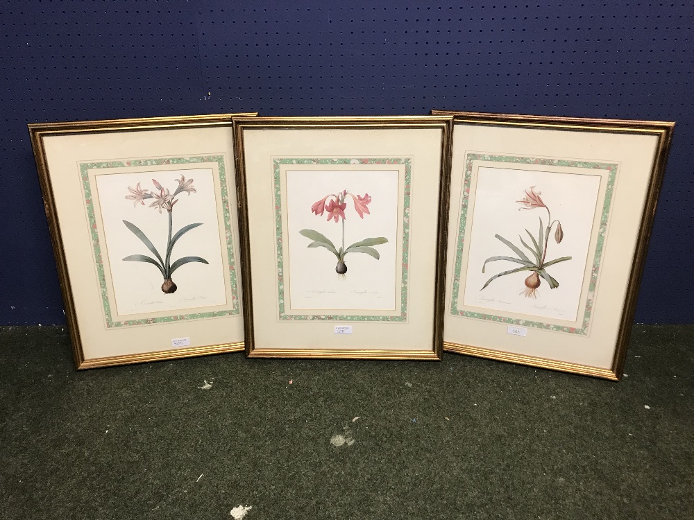 After Redoute set of 3 modern flora colour prints 28 x 20 cm framed & glazed