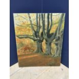 C LAKE C20th oil on board 'Woodland Scene' signed lower left dated 1957 46 x 38cm