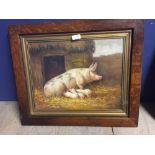 Oak framed oil painting study of a Sow & Piglets in a farmyard 31 x 40 cm