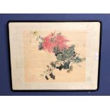 Chinese C19th watercolour, chrysanthemum, 39x33 cm