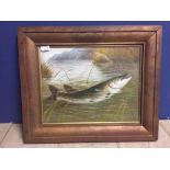 Framed oil painting of a pike fish in a reed bed 32 x 41 cm