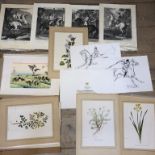 Collection of reproduction prints of equine & floral interest (unframed)