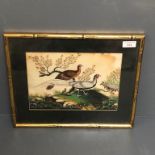 Early C19th watercolour on rice paper 'Cock & Hen Pheasant' (some discolouration & water damage)