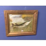 Framed oil painting of a pike fish in a reed bed 32 X 41 cm