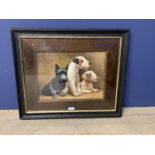 Framed oil painting study of 2 terriers & a scottie dog 28 X 38 cm