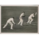 Surrey C.C.C. 1933. Two original mono press photographs of action from M.C.C. v Surrey at Lord's,