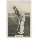 John Morris Taylor. New South Wales & Australia 1913-1927. Phillips 'Pinnace' premium issue