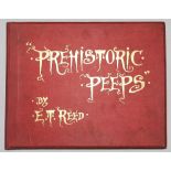 'Mr Punch's Prehistoric Peeps'. E.T. Reed. London 1896. 144pp large format book comprising thirty