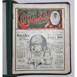 'Cricket: A Weekly Journal Devoted to the Game'. Volume 2 (New Series). Numbers 31-60. January