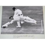 Indian tour of England 1967. Excellent selection of six press photographs taken during the Lord's