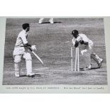 Indian tour of England 1959. Excellent selection of twelve press photographs taken during the Lord's