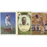Modern postcard series. Over eighty postcards. Series include Rosi Robinson (8), Cricket Memorabilia