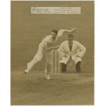 County cricketers 1950s-1980s. White folder comprising a selection of twenty five mono press
