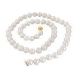 11.0-14.0mm South Sea Pearl Necklace