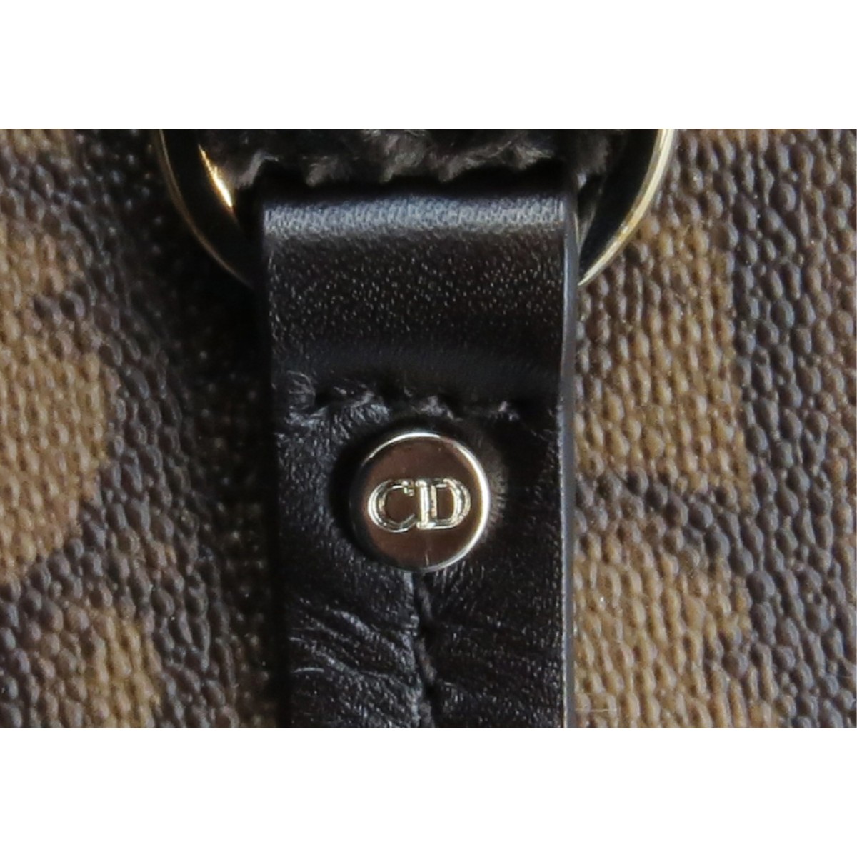 Christian Dior Monogram Romantique Trotter Handbag - Image 5 of 7