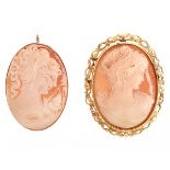 Two Carved Shell Cameo Brooches