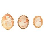 Three Antique Shell Cameo Brooches